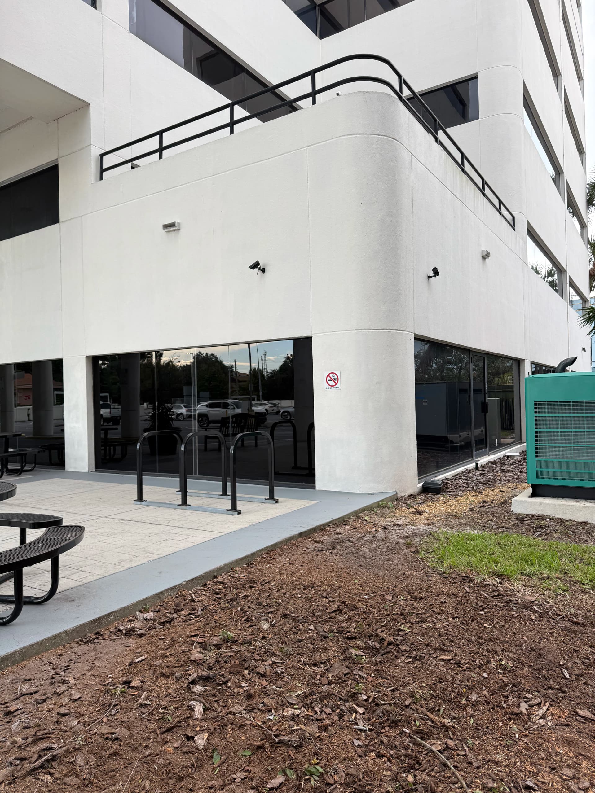 Gallery photos for Small Stump Removal at a Downtown Orlando Medical Building: Image #1