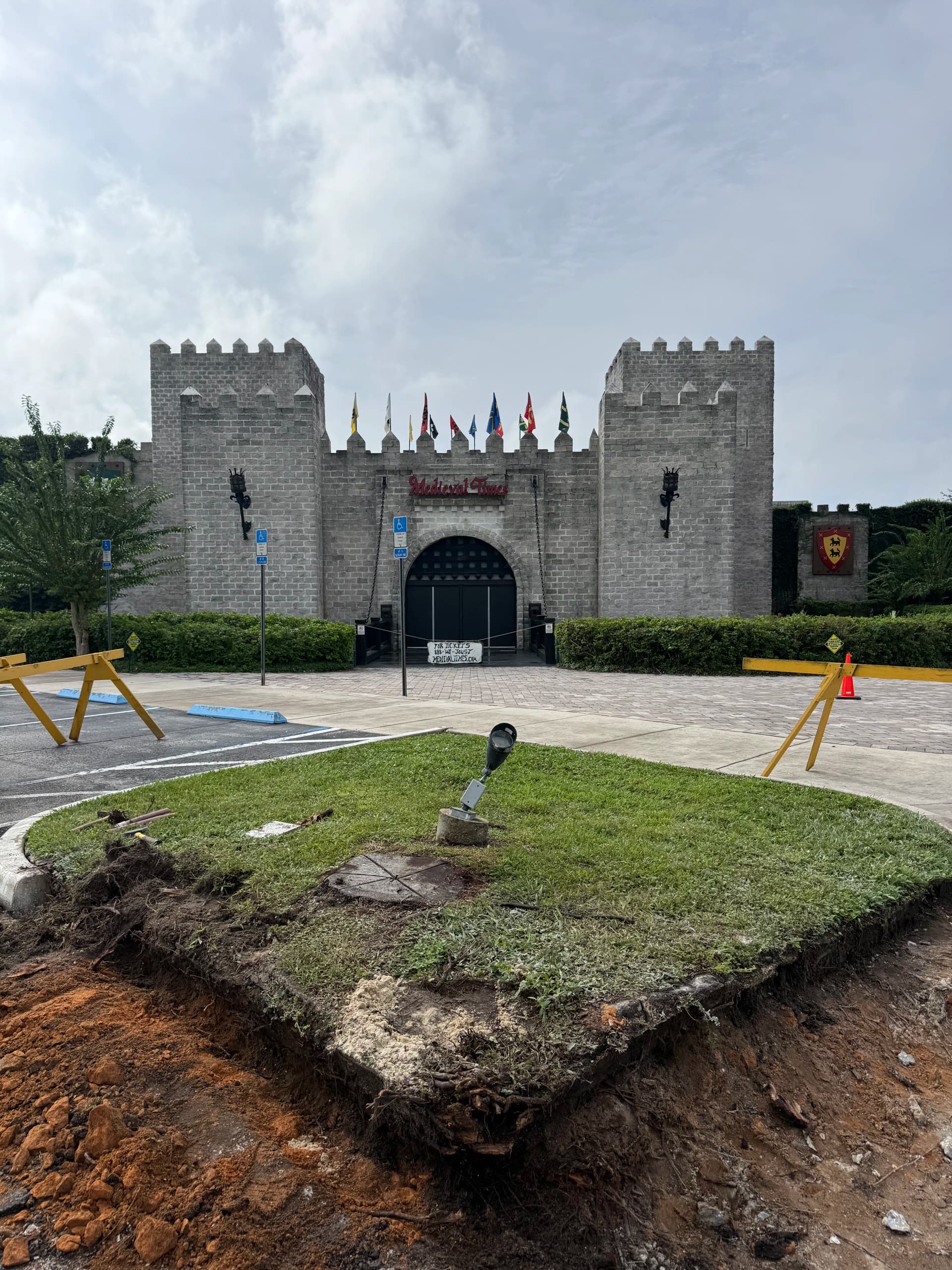 Gallery photos for Root Pruning at Medieval Times - A Job We're Proud Of: Image #2