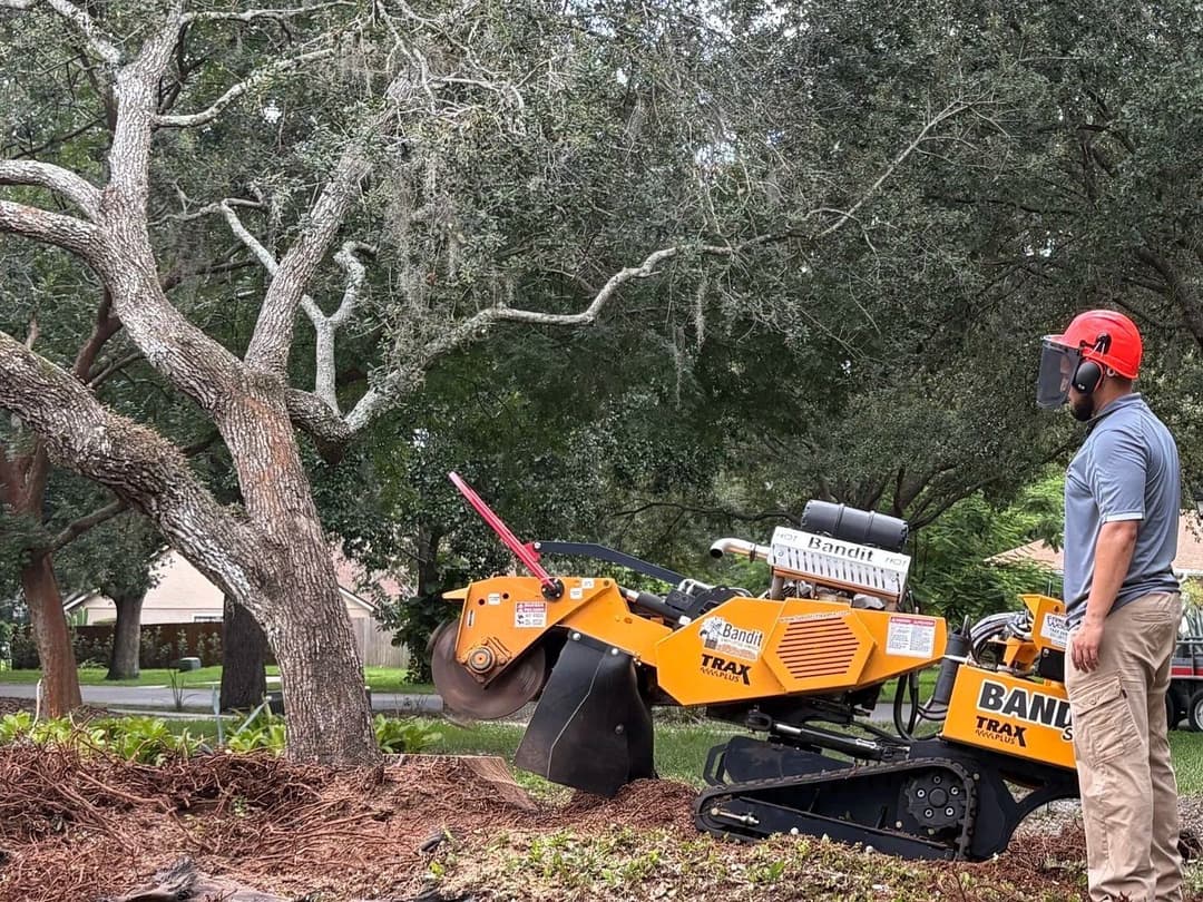 Tree removal worker using a Bandit chipper on a residential property with trees and mulch.