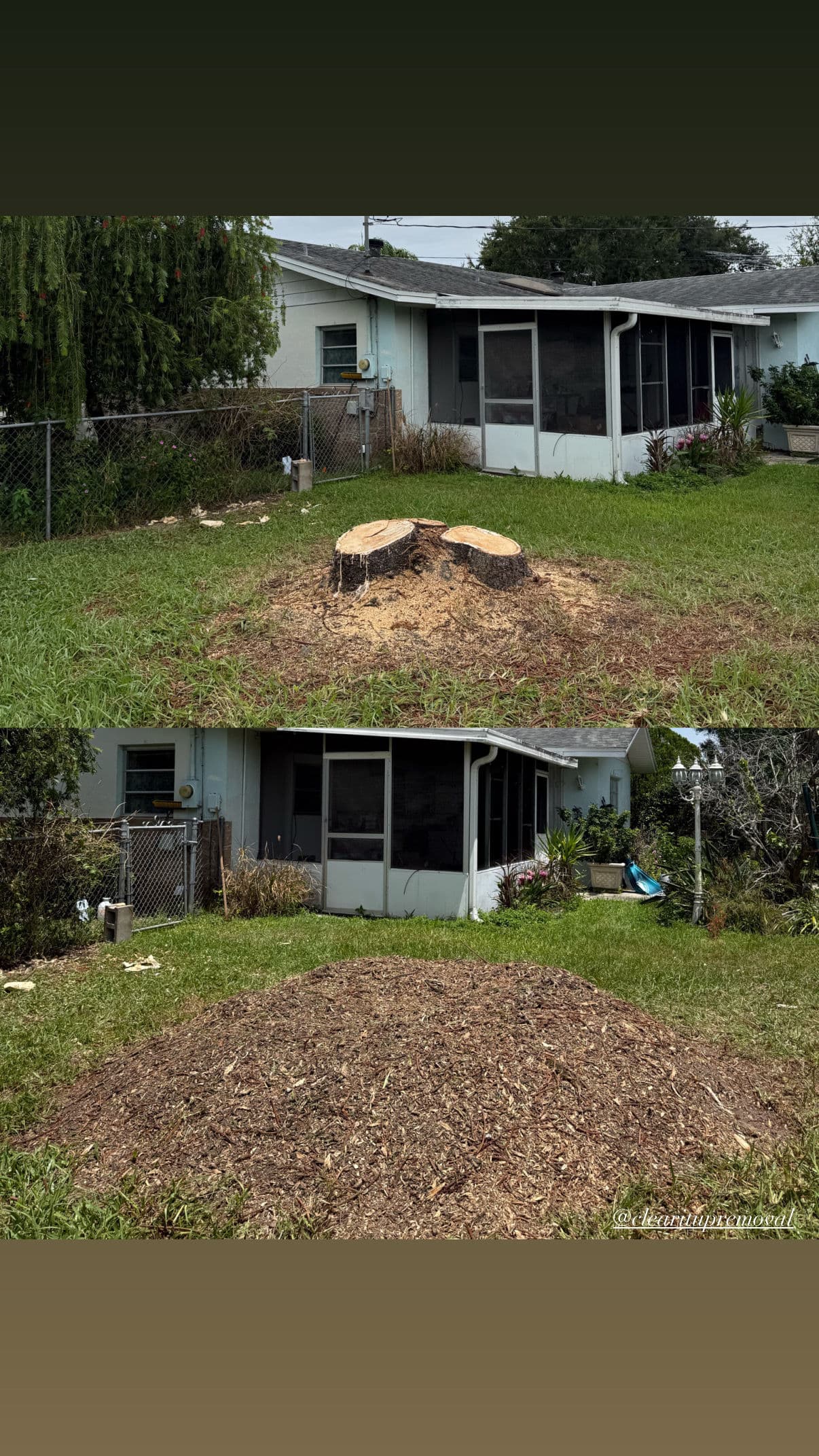Project Stump Grinding That Gives You Something Back image