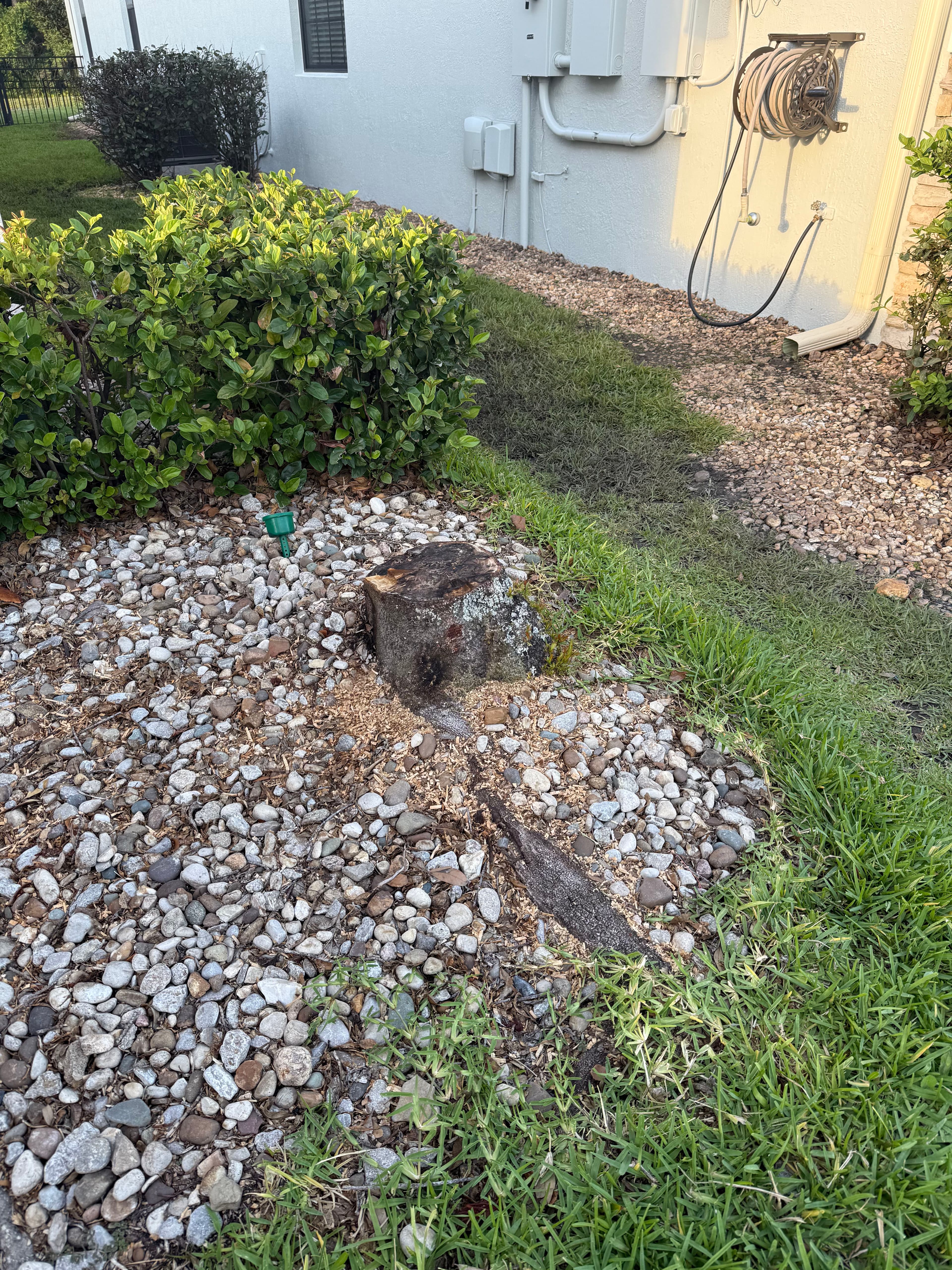 Project What Has to Happen Before We Can Grind a Stump image