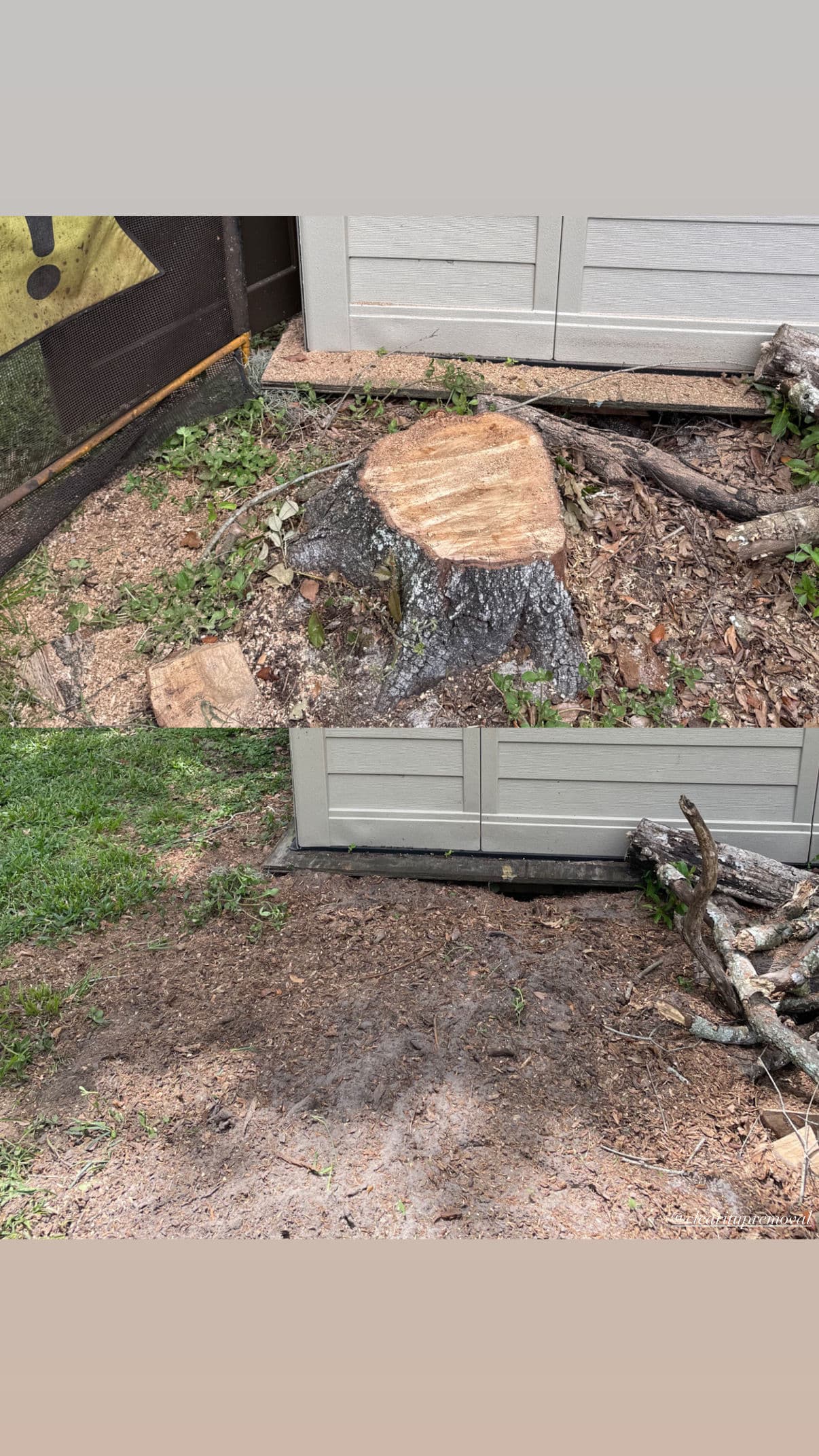 Project Before and After Stump Grinding That Opens Up the Yard image