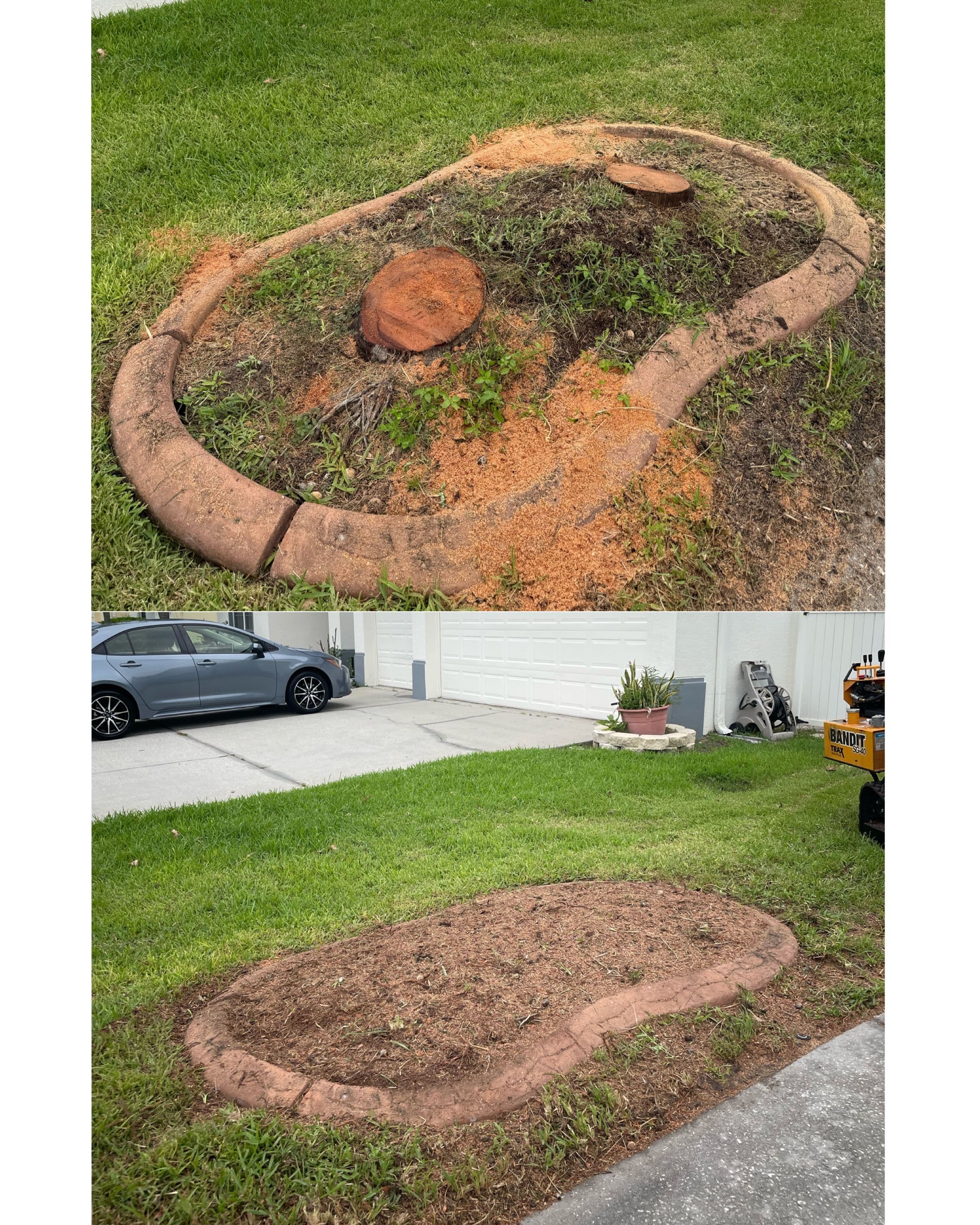 Project Palm Stump Ground Down Flat Inside a Curbed Planter image