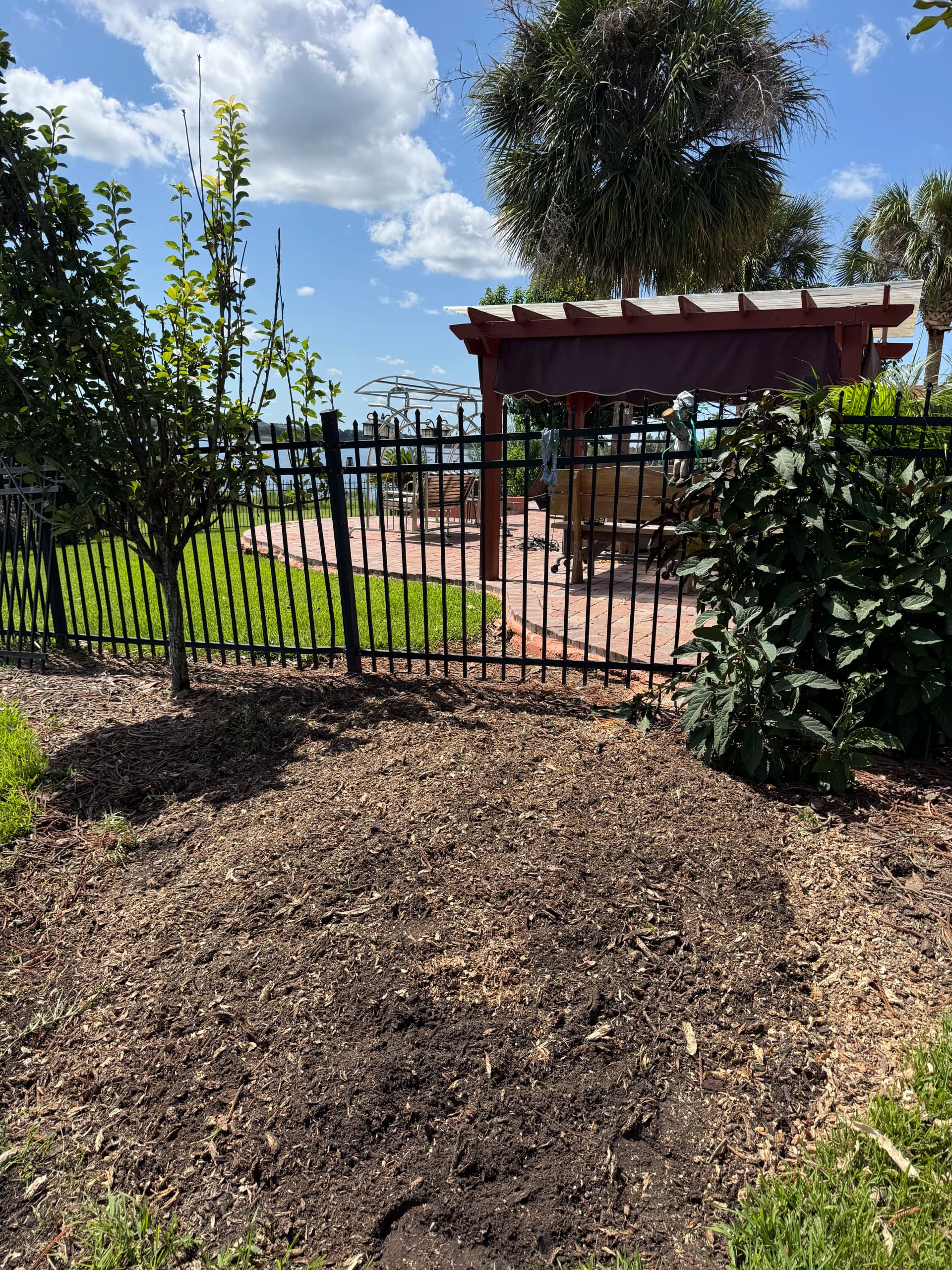 Gallery photos for Stump Grinding Done Right in Orlando: Image #1