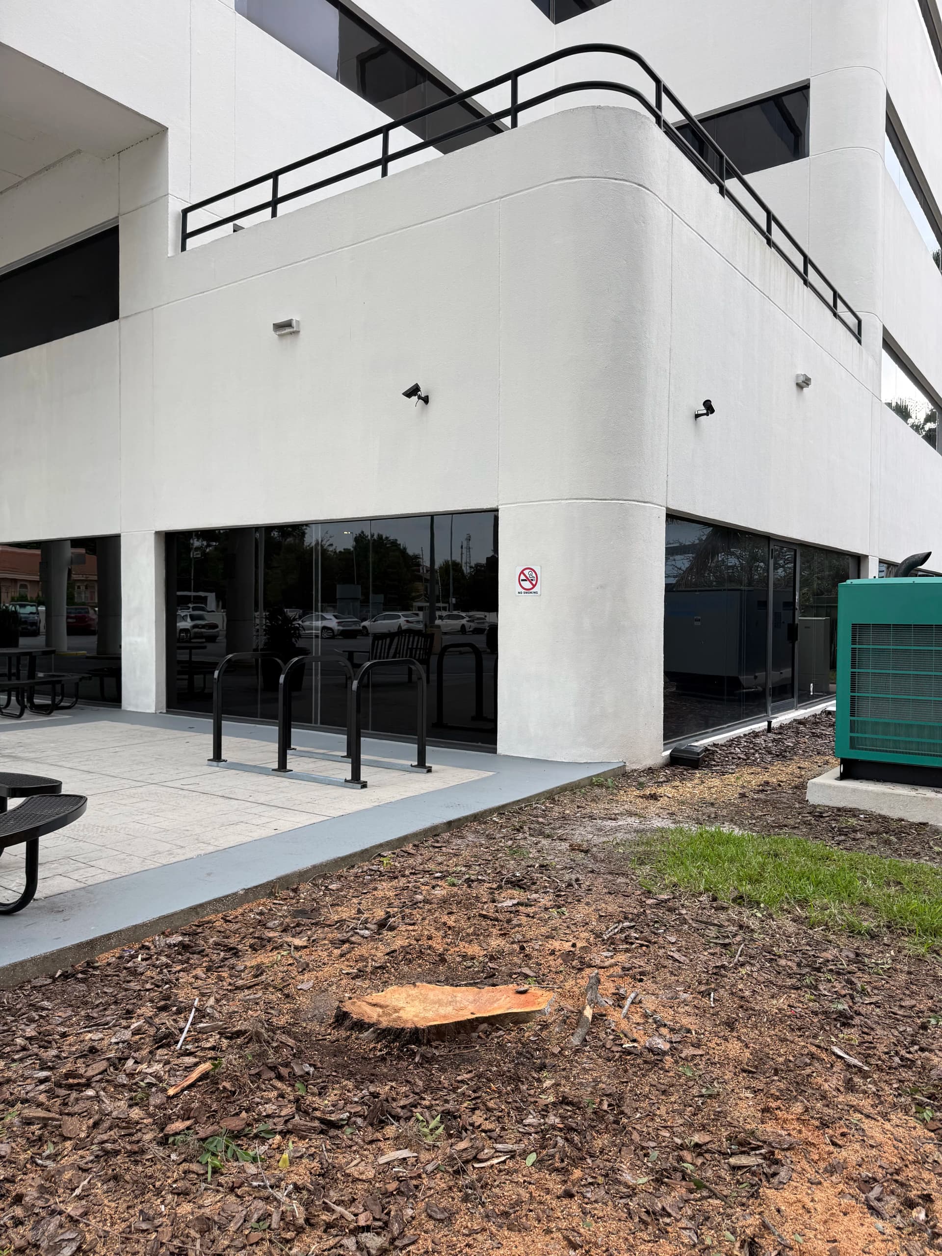 Small Stump Removal at a Downtown Orlando Medical Building image