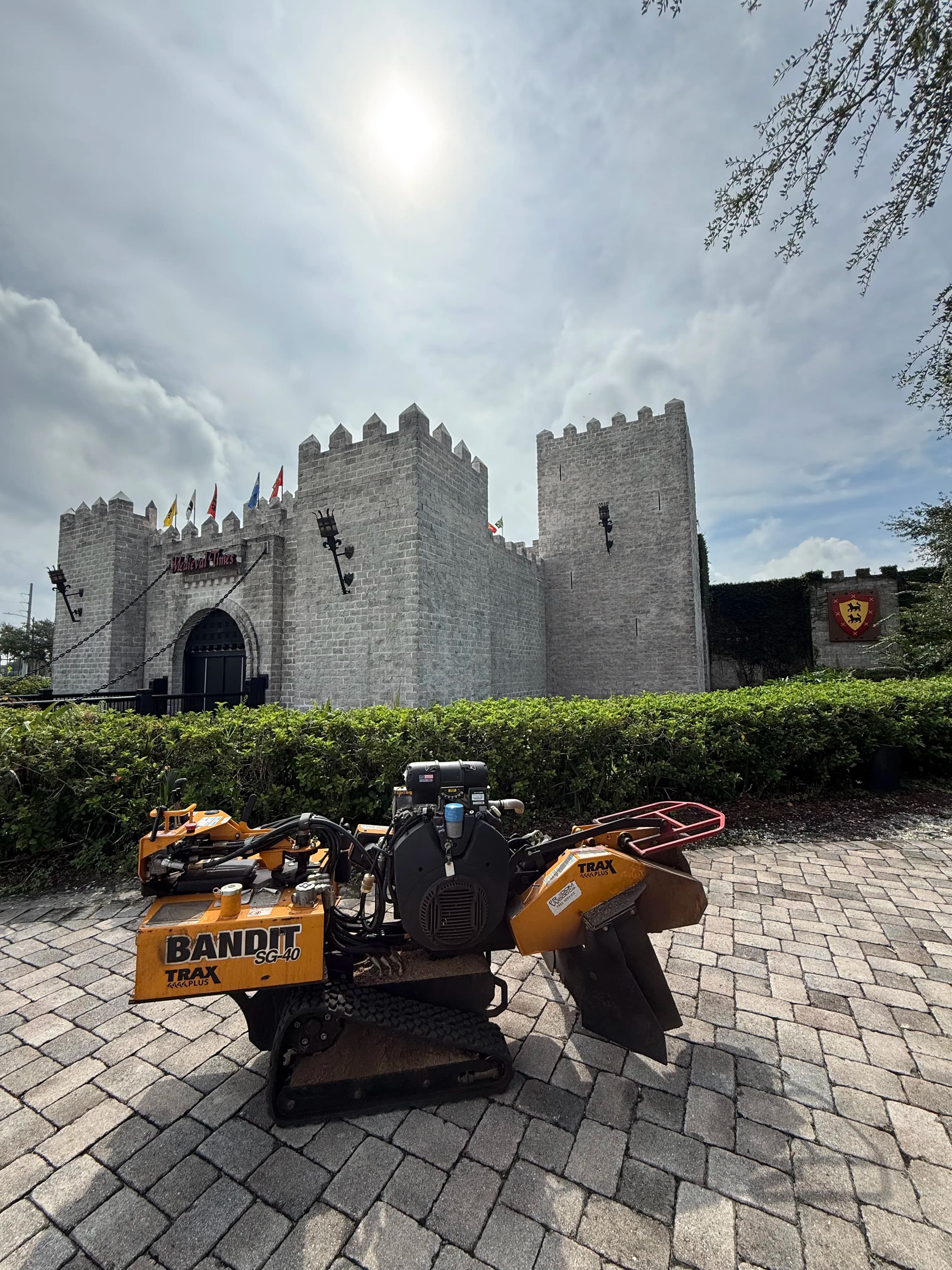 Project Root Pruning at Medieval Times - A Job We're Proud Of image