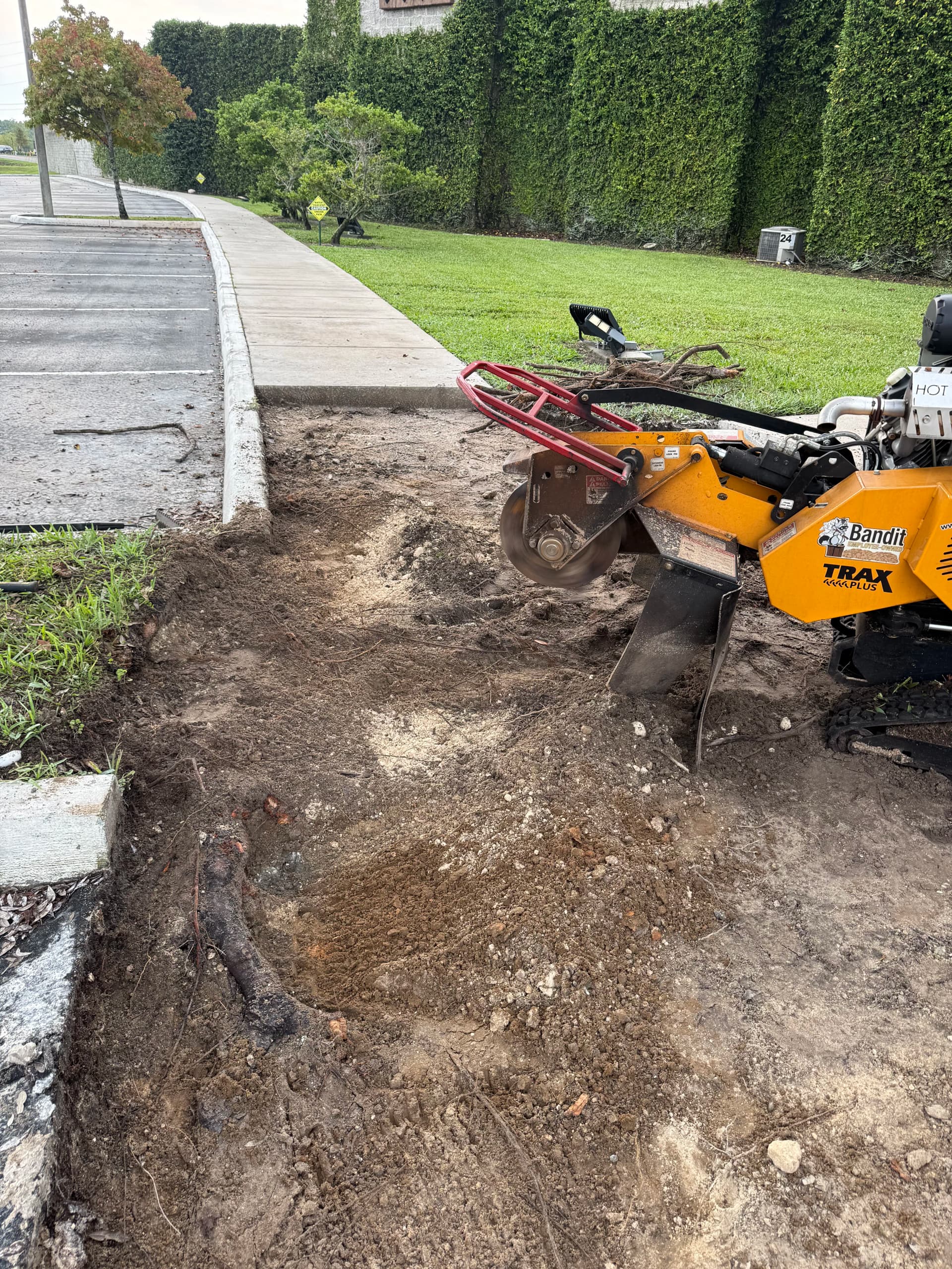 Gallery photos for Root Pruning at Medieval Times - A Job We're Proud Of: Image #1