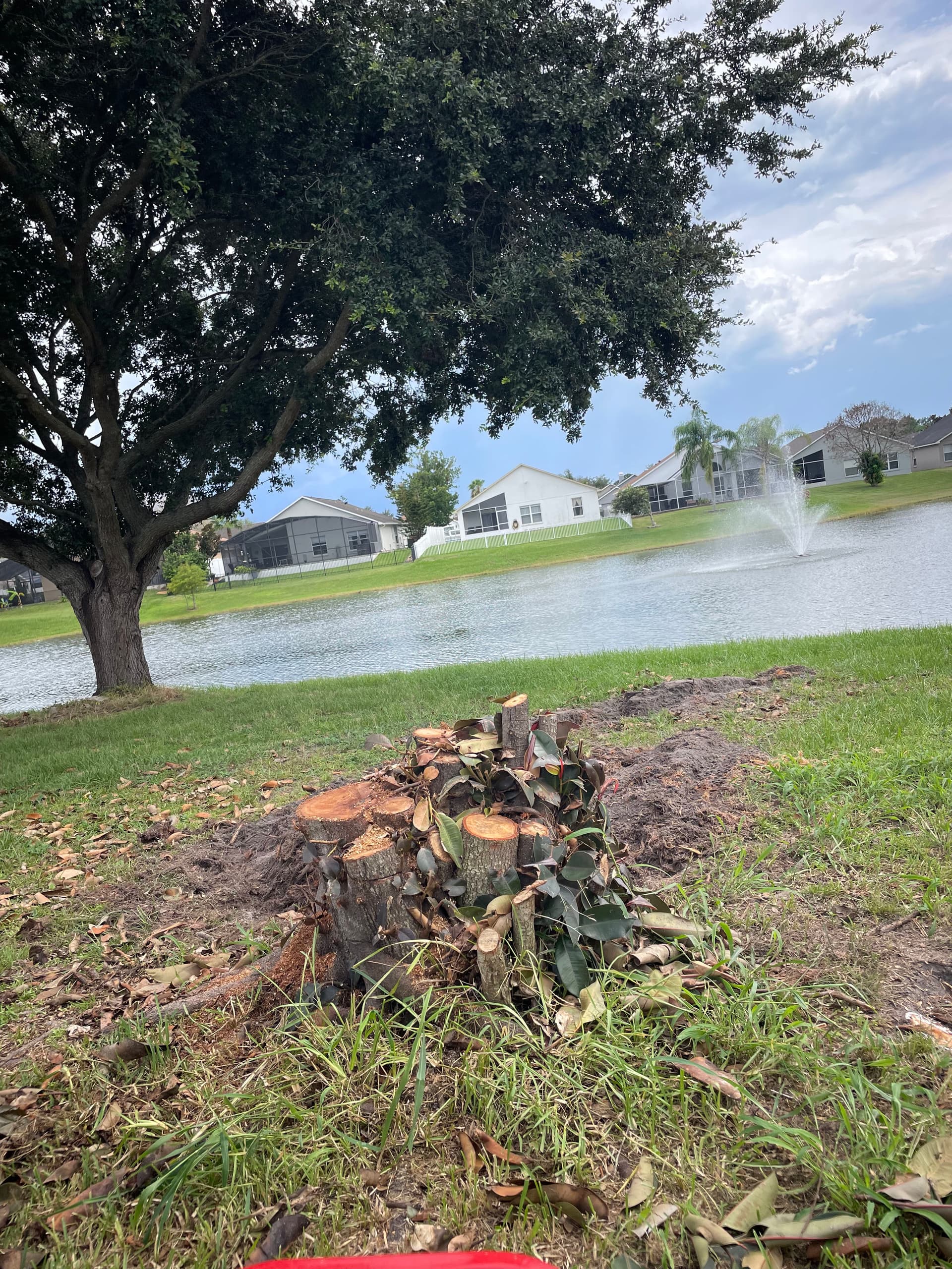 Big Stump, Big Pile - Here's What That Actually Means for You image
