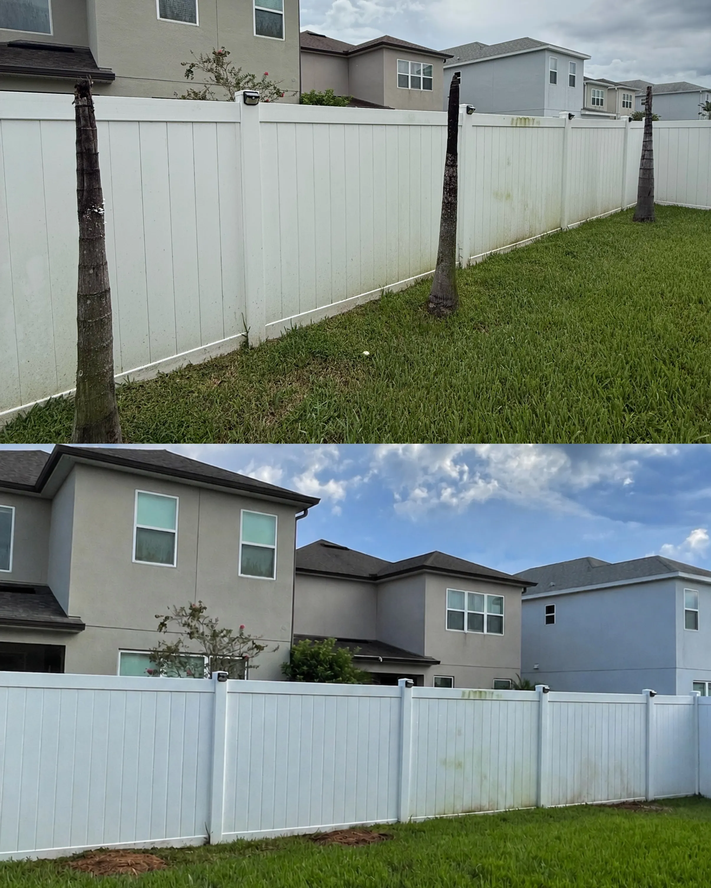 Project Dead Diseased Palms Gone - No Chainsaw Needed image