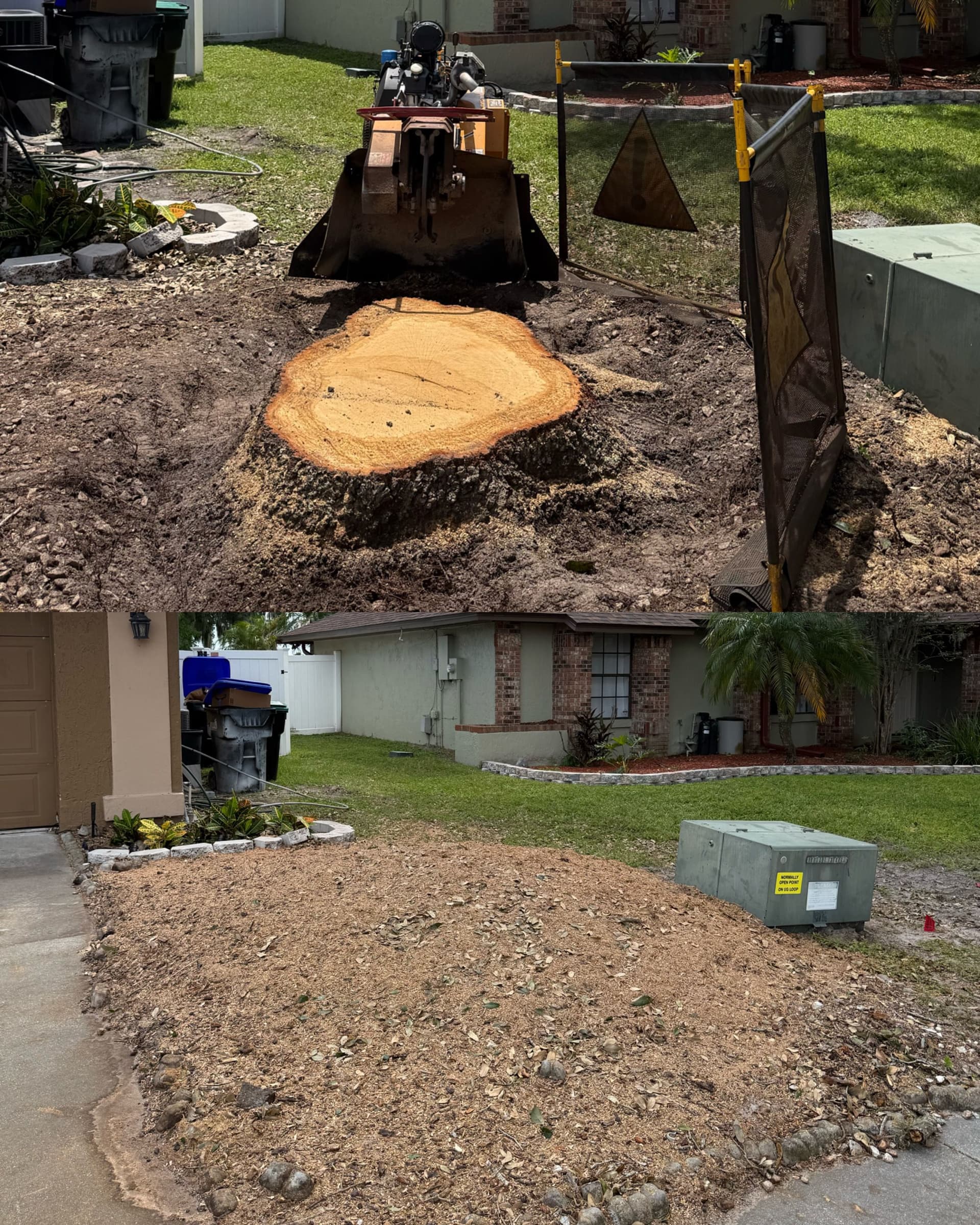 Shallow Stump Grind Over Underground Utilities Done Right image
