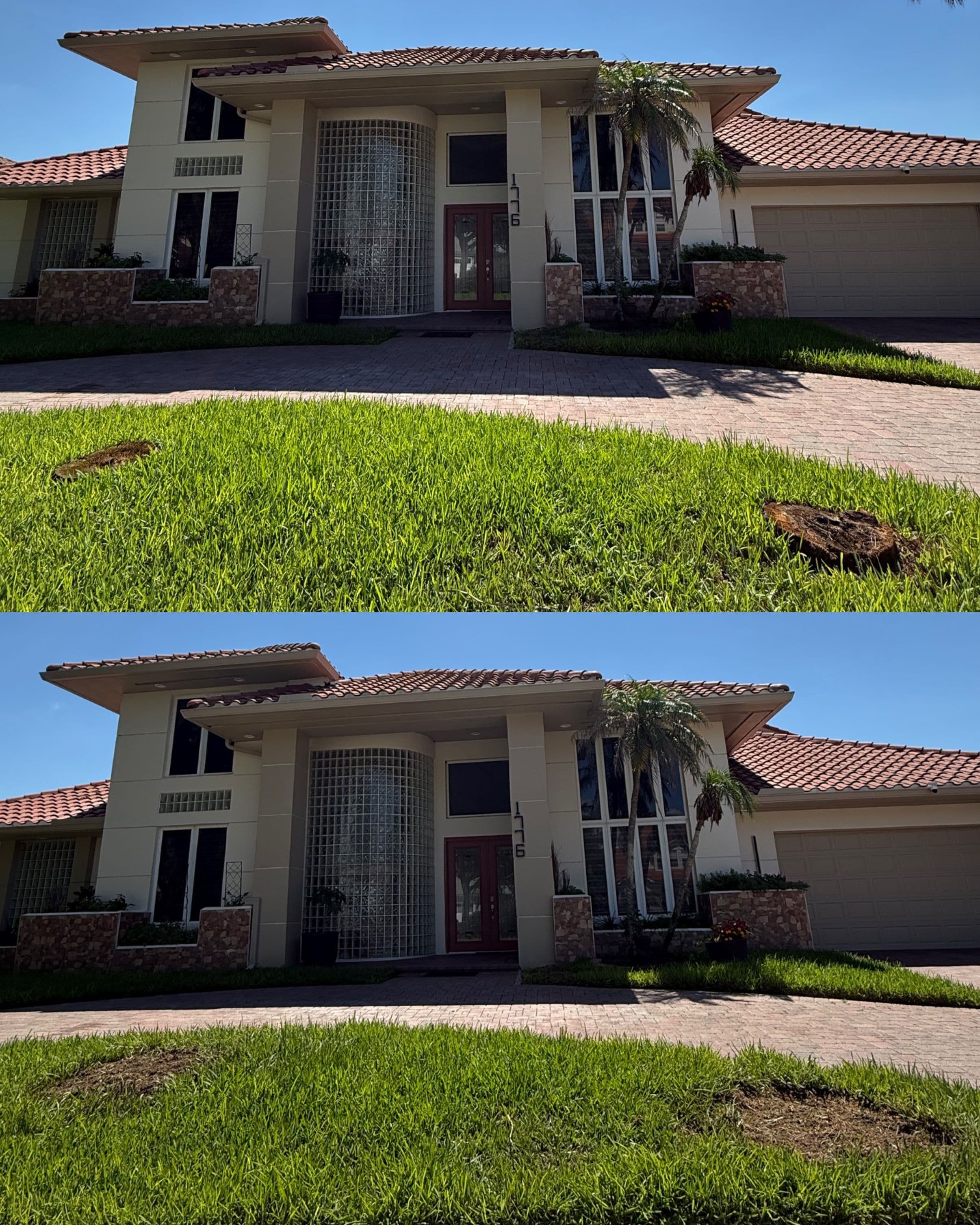 Project Two Rotting Palm Stumps Gone at Kissimmee Bay Country Club image