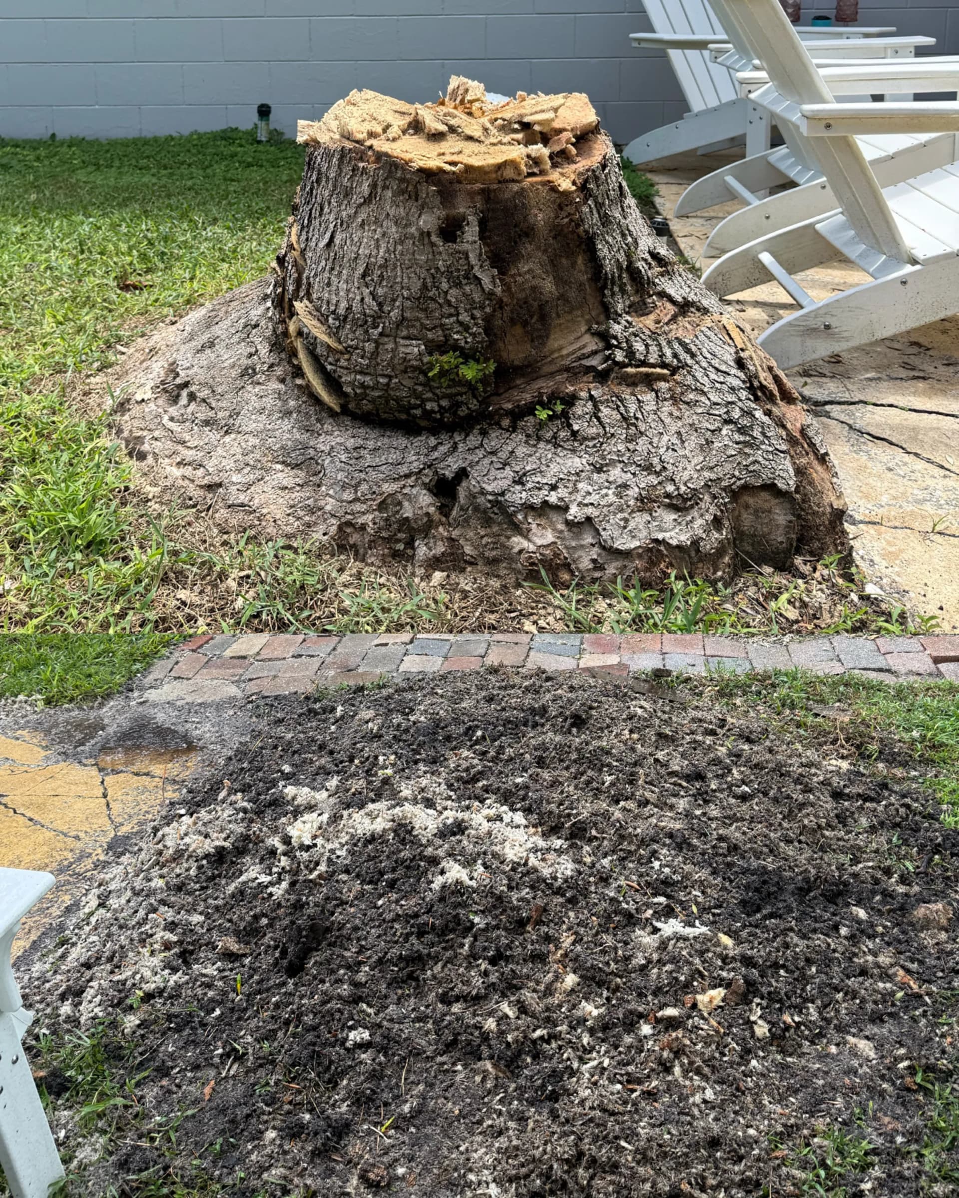 Palm Stump Grinding Is a Different Beast - Here's Why image