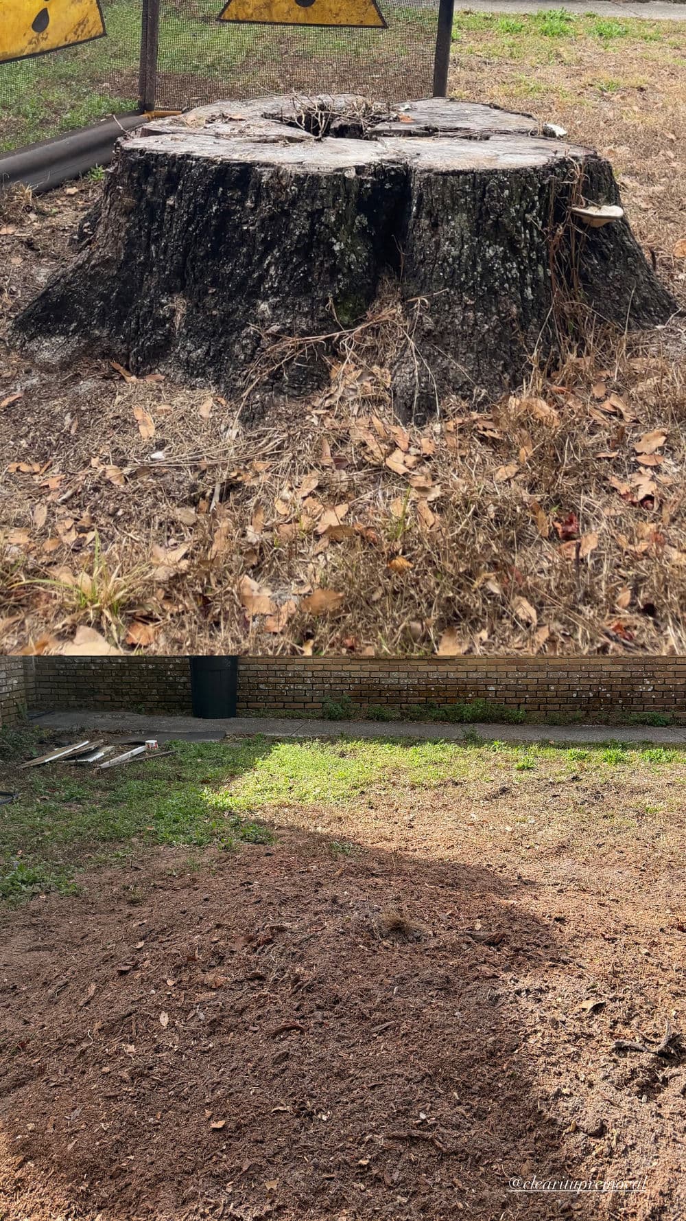 Tree stump removal progress showing the tree stump on top and cleared ground below.