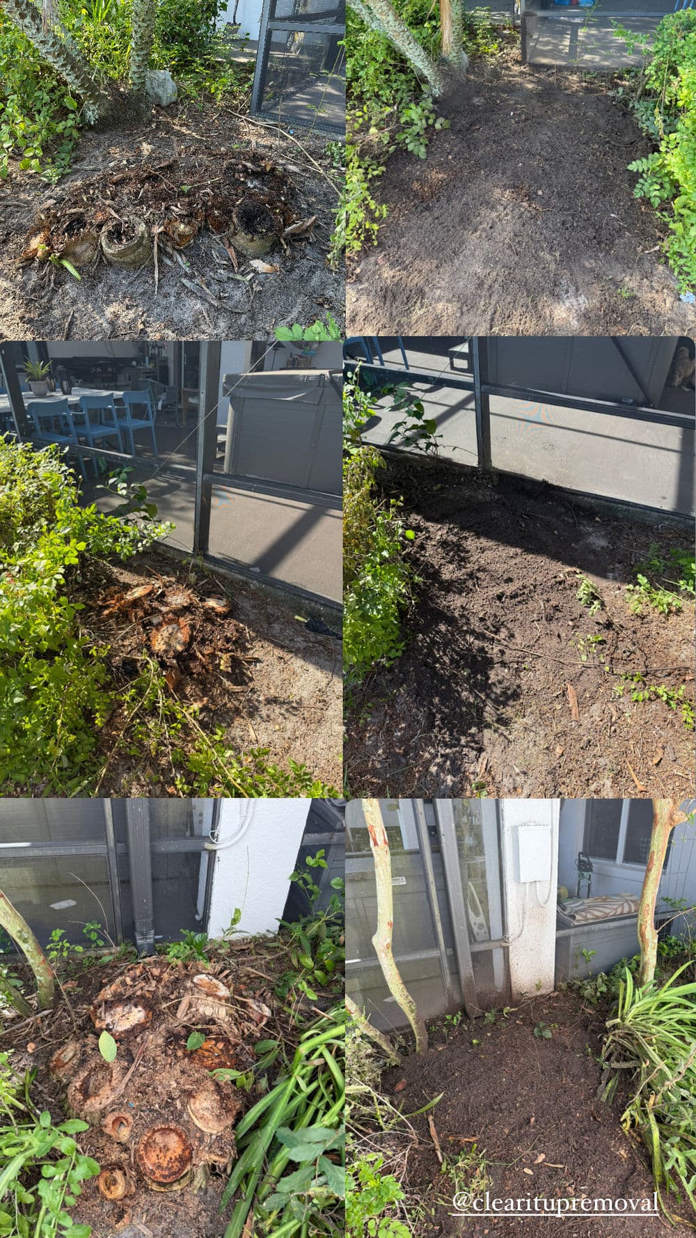 Before and after garden cleanup showcasing cleared debris and improved soil area.