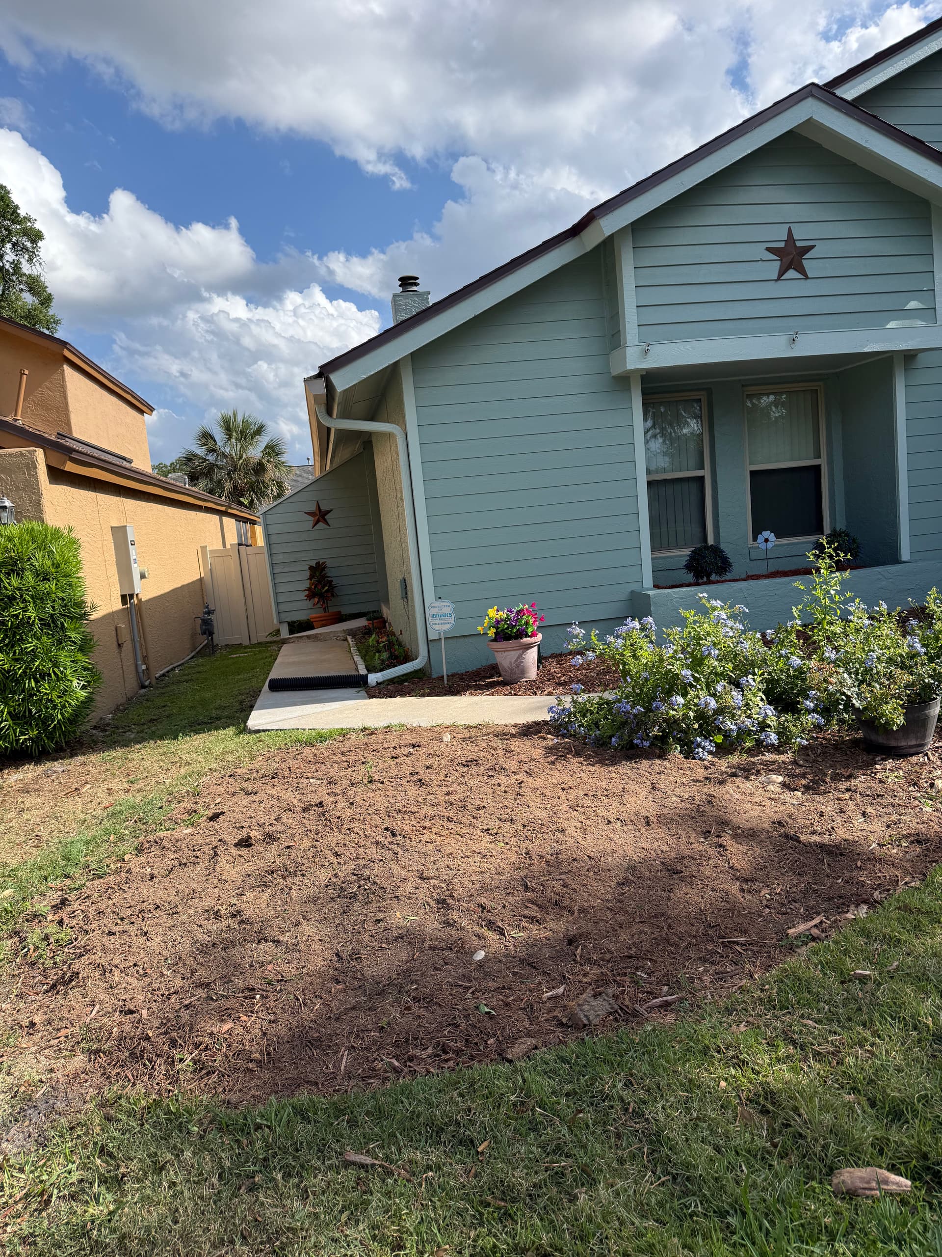 Gallery photos for Palm Stump Grinding in Longwood with a Garden Bonus: Image #1