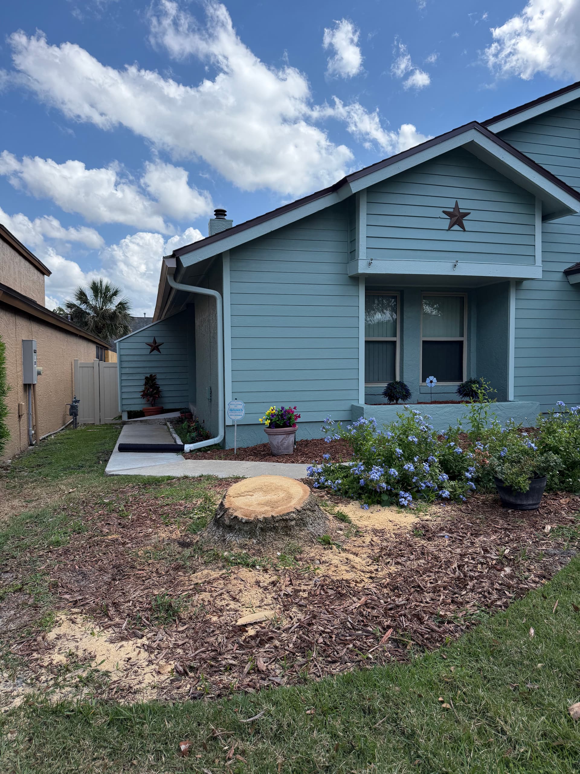 Palm Stump Grinding in Longwood with a Garden Bonus image