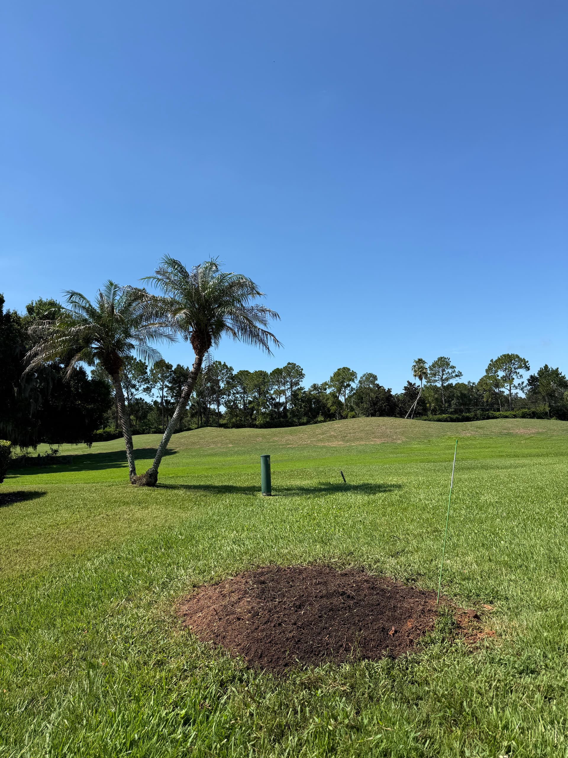 Gallery photos for Stump Grinding Done Right on a Country Club Property: Image #1